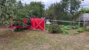 Katastrofa awionetki pod Lesznem. Takie kroki wykonano