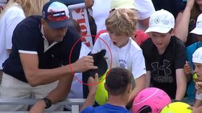 To on zabrał czapkę Majchrzaka. Wydał oświadczenie