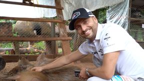 Kapibarowe szaleństwo w WRC. Kajetanowicz rozchwytywany w Paragwaju