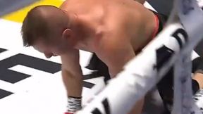 Walka Adamka zakończona przed czasem. Został znokautowany