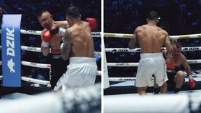 Sędzia musiał przerwać walkę. Zobacz, co Soldić zrobił z Adamkiem [WIDEO]