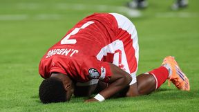 Zobacz tabelę "polskiej" grupy po meczu Holandii