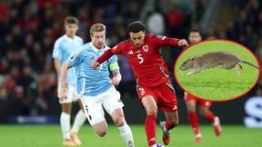 Mecz eliminacji do MŚ wstrzymany. Kuriozalny powód