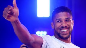 "Musi go zniszczyć w 30 sekund". Burza po ogłoszeniu walki Joshuy