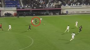 Puchacz znów się pokazał. Zobacz wideo