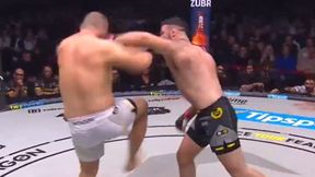 OKTAGON 81: nokaut w walce wieczoru, Kincl znów na swoim poziomie. Polacy ze zmiennym szczęściem