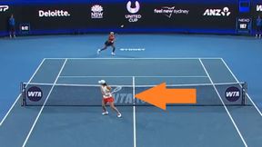 Kibice w euforii. Świątek szalała, Gauff była jeszcze lepsza [WIDEO]