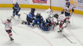 Miliony wyświetleń. Bójka na meczu młodych hokeistów