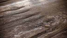 Lokomotiv Daugavpils - MDM Komputery Dreier ŻKS Ostrovia 57:33