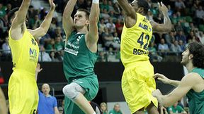 Stelmet BC Zielona Góra - Alba Berlin 64:76