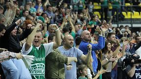 Stelmet BC Zielona Góra - Panathinaikos Ateny 71:68