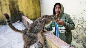 Życie toczy się tam wokół śmietnisk. Zobacz dzielnice nędzy w Rio de Janeiro