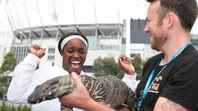 Waran przeraził Sloane Stephens, wąż - Kim Clijsters. Niecodzienne zdjęcia z Australian Open (galeria)