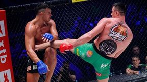 KSW 79. Arkadiusz Wrzosek - Tomas Mozny (galeria)