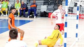 Polska - Holandia 2:2 (galeria)