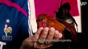Kogut zagrożeniem terrorystycznym we Francji! Kibic polskiego pochodzenia nie wniesie go na stadiony!