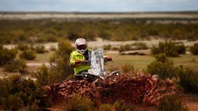 Dakar: quady polską specjalnością?