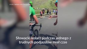 #dziejesiewsporcie: Sagan dał autograf w trakcie wyścigu