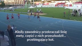 #dziejesiewsporcie: sprinterzy w szoku! Tego na mecie nie spodziewali się