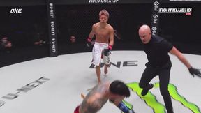 Po tym ciosie nie mógł już wstać. Potężny nokaut