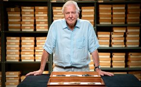 Polsat Viasat Nature HD David Attenborough i cmentarzysko mamutów