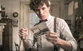 TVN 7 Fantastyczne zwierzęta: Zbrodnie Grindelwalda