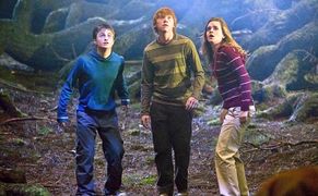 TVN Harry Potter i Zakon Feniksa