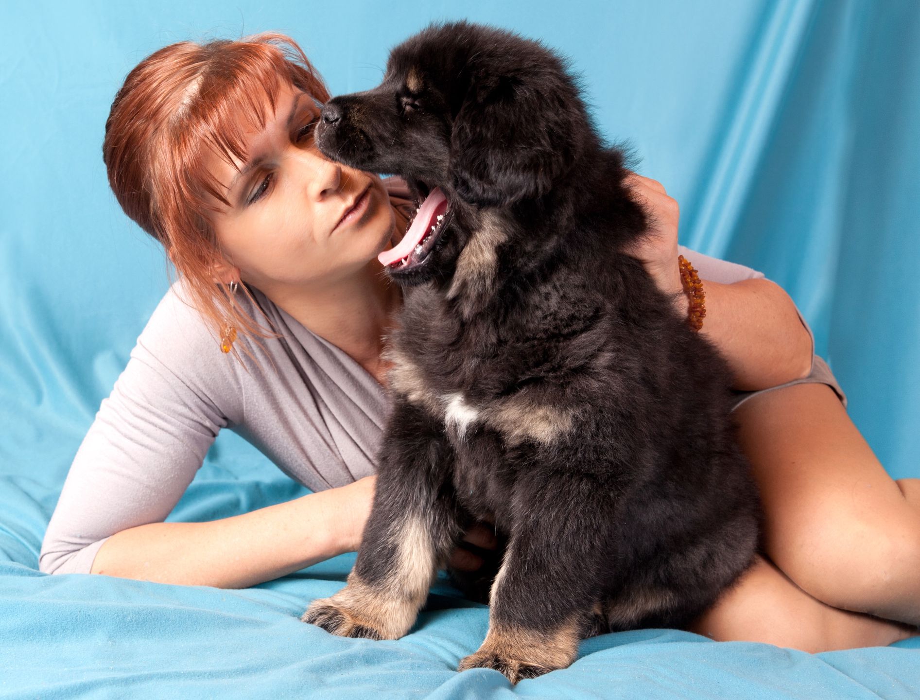 Unlocking the secret language of dog yawns Understanding what your pet