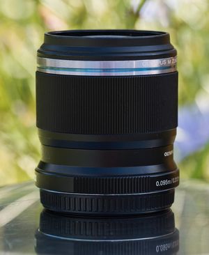 Pierścień ostrości to ważny element optyki makro. Ten z olympusowskiej trzydziestki jest szeroki i bardzo wygodny w obsłudze. Opór stawia lekki i szlachetnie płynny. To niby nic dziwnego, gdyż nie porusza on bezpośrednio mechanizmem ostrzenia – po drodze jest silnik. Jednak chwała konstruktorom obiektywu, bo przecież opór mogli zaprojektować jako jeszcze lżejszy, ale bezpłciowy.