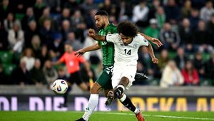 Niemcy się nie patyczkowali. Prawie pół miliona euro kary dla znanego piłkarza