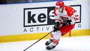 Paweł Zygmunt z asystą w trudnym meczu. HC Litvínov walczy o przetrwanie