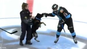 Szokujące sceny na Białorusi. Nie przewidziano, co zrobi pies