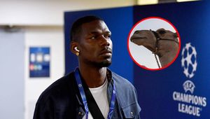 Szokujące zajęcie Paula Pogby. Tego się nikt nie spodziewał