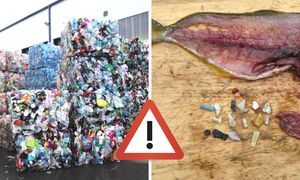 Zabójczy mikroplastik w jelitach Polaków. Winna m.in. woda butelkowana i ryby