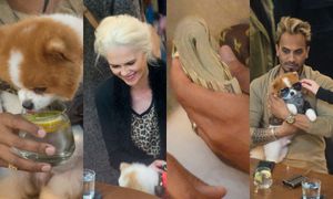 "Żona Hollywood" Iwona Burnat śmieje się i popija wino, a jej ukochany wymachuje grubym plikiem banknotów