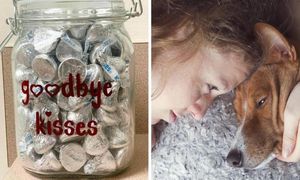 Szpital daje umierającym psom czekoladowe „pocałunki na pożegnanie” w ich ostatnich chwilach