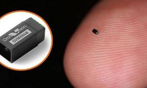 To najmniejsza kamera na świecie. Wielkością można ją porównać do ziarenka piasku