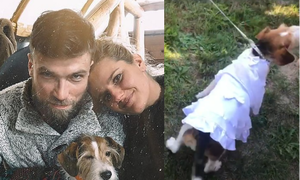 Suczka Zofii Zborowskiej miała... WŁASNĄ SUKNIĘ na ślubie swojej pani! Stylowa? (FOTO)