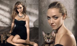 Amanda Seyfried na okładce hiszpańskiego "Glamour"!