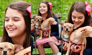Szczęśliwa Suri Cruise przytula pieski na spacerze w parku