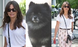 Wielki powrót Czarka Lisa! Kinga Rusin wyprowadziła go na spacer z torebką za 4 tysiące (FOTO)