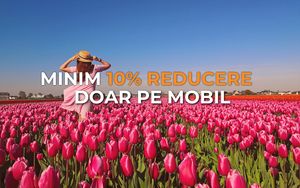 Descarcă aplicația »