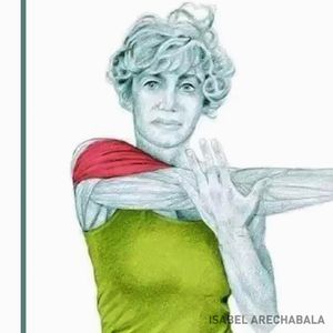 Te ilustracje pomogą Ci zrozumieć jakie ruchy wykonać, aby rozciągnąć konkretne partie mięśni