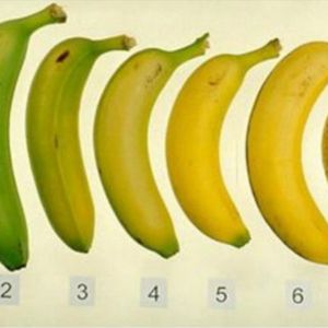 Którego banana wybrałbyś dla siebie? Odpowiedź ma znaczenie dla zdrowia