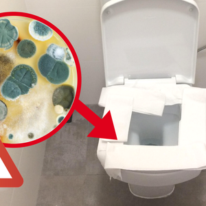 Oto co dzieje się z papierem toaletowym w publicznych toaletach. Czas nosić swoją rolkę!