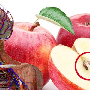 9 produktów, których nie powinieneś jeść i pić na surowo. Uważaj na jabłka i mleko