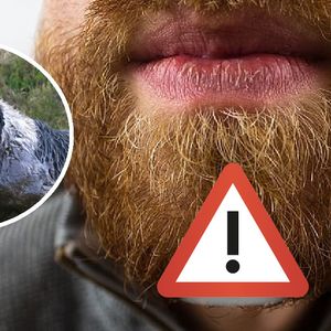 Ludzka broda skrywa więcej bakterii niż sierść psa. Wyniki badań ujrzały światło dzienne