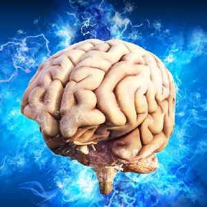 5 suplementów, które wspomogą pracę Twojego mózgu. Idealne na pamięć i koncentrację