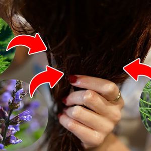 3 naturalne, ziołowe sposoby na wypadające włosy. Stymulują, pobudzają i odżywiają