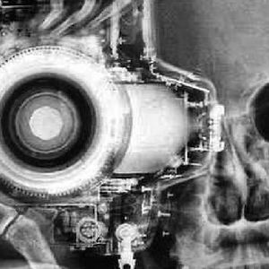 12 zdjęć rentgenowskich, które pokazują to, co niewidoczne gołym okiem. Robią wrażenie!